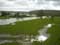Rivière, ruisseau exemple zicht Ourthe zuidoosten