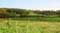 Vue de paysage exemple Landschap Dion-Le-Val