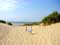 Duinen, strand en zee