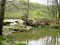 Rivière, ruisseau exemple Ancien moulin de Vodelée