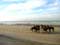 Strand & zee voorbeeld Strand en zee