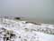 Besneeuwde duinen en strand