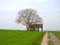 Landscape example Walnut Tree (in Falmagne)