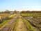 Landscape example Roman Cobbled Road (in Voort)