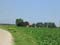 Boerderij, hoeve voorbeeld Hoeve De Violette