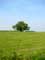Vue de paysage exemple Paysage avec arbre (Kanegem)