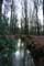 Bos Gemeentepark