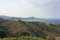 Wineyards of the Banyuls