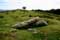 Dolmen van Soroluze
