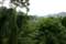 Forest Landscape (in San Vincente Gorong-Gorong)