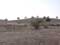 Hills