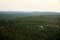 View on the Landes Forests