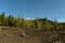 Dry landscape with some trees