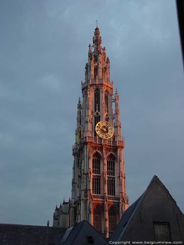 Onze-Lieve-Vrouw-Kathedraal ANTWERPEN 1 (centrum) in ANTWERPEN / BELGI De kathedraal bij zonsondergang vanuit de Oude Beurs.