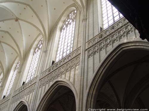 Onze-Lieve-Vrouw-Kathedraal ANTWERPEN 1 (centrum) / ANTWERPEN foto Boven de arcadebogen van het middenschip vinden wij een pseudo-triforium dat herleid werd tot borstwering.