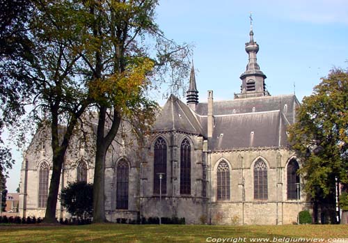 Collgiale Saint-Ursmer  / Sint-Ursmarus kapittelkerk BINCHE foto 