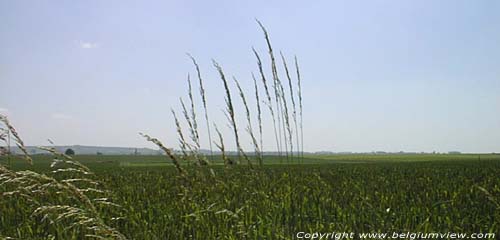 Landscape between Mons - Binche SAINT-SYMPHORIEN in MONS / BELGIUM 