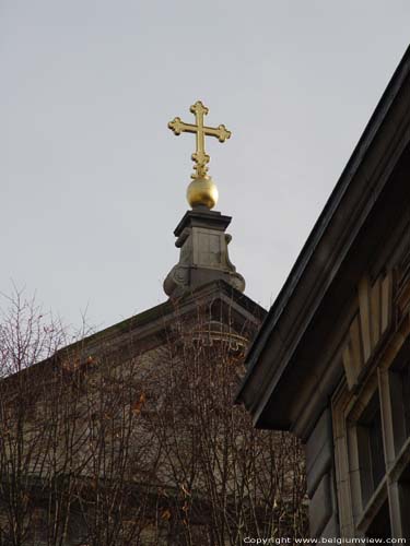 Carolus-Borromeuskerk ANTWERPEN 1 (centrum) in ANTWERPEN / BELGI 