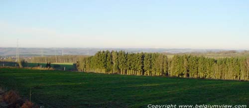 View north fromVille FERRIERES / BELGIUM e