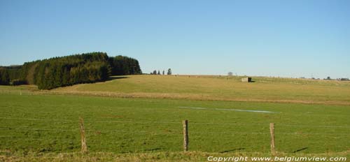 Vue Bercheux JUSERET  VAUX-SUR-SURE / BELGIQUE 