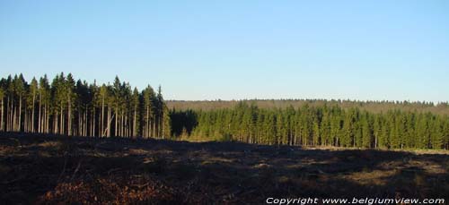 View direction Herbeumont LACUISINE / FLORENVILLE picture e