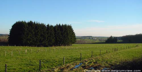 Nantimont view south-east HABAY-LA-VIEILLE in HABAY / BELGIUM e