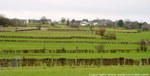 Landschap richting zuiden RAEREN foto 