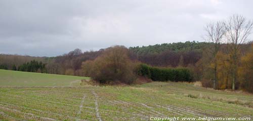 zicht noorden GREZ-DOICEAU in GRAVEN / BELGI 