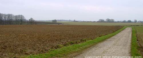 Nord-Est de Pietrebais BEAUVECHAIN / BELGIQUE 