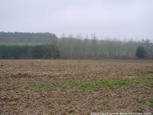 Zicht Hvillers westen MONT-SAINT-GUIBERT foto  