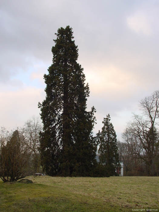 Kasteel van Vonche (te Vonche) BEAURAING / BELGI 