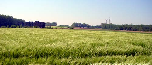 Landschap Oppem MEISE foto  