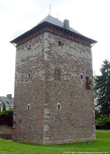 Waroux Toren AMAY foto Deze Romaanse woontoren of donjon is in de 12e eeuw gebouwd. Vroeger was hij door een slotgracht omgeven