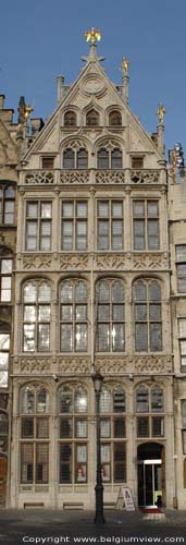 The Falcon ANTWERP 1 / ANTWERP picture