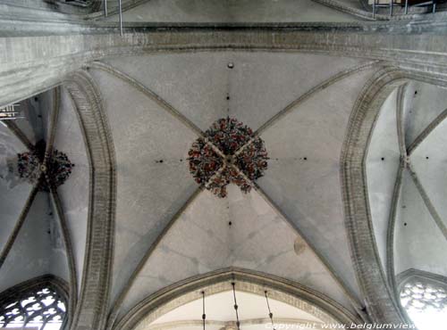 Sint-Pieterskerk LEUVEN / BELGI Detail dakgebinte