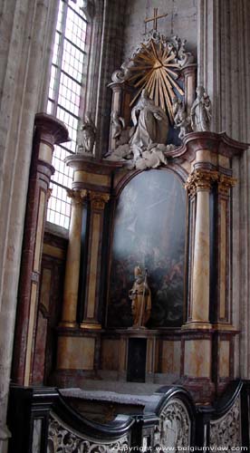 Sint-Pieterskerk LEUVEN foto Zijkapel