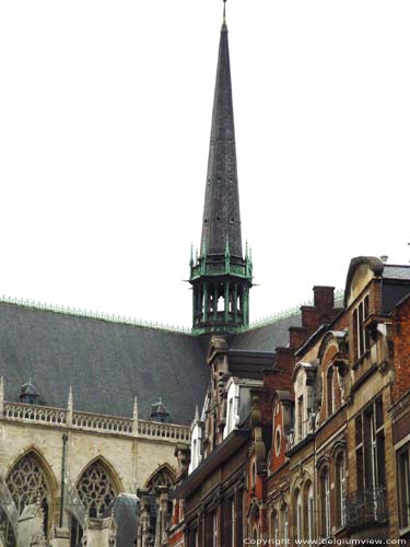 Saint-Peters' church LEUVEN picture 