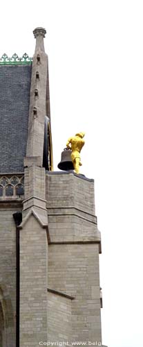 Sint-Pieterskerk LEUVEN / BELGI 