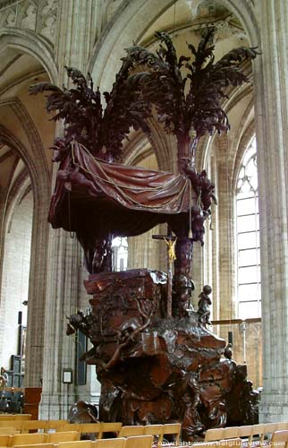 Saint-Peters' church LEUVEN picture