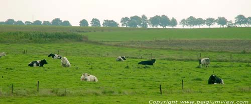 Landschap zuiden Sombreffe SOMBREFFE / BELGI  