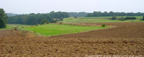 Landschap Gaillemarde LA HULPE / TERHULPEN foto zicht op noordoosten