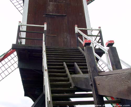 Moedermeule AARSCHOT foto Detail trap