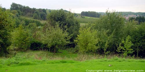 Zicht vanaf de molen AARSCHOT / BELGI Zicht naar zuidoosten