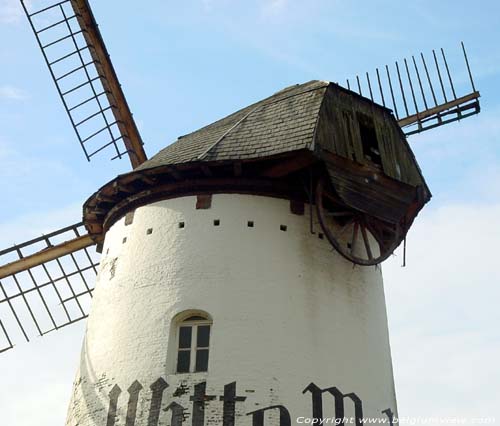 De Witte Molen AARSCHOT / BELGIQUE 