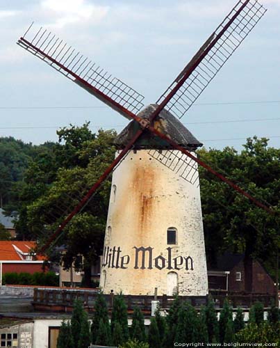 De Witte Molen AARSCHOT foto Voorzijde uit zuidwesten