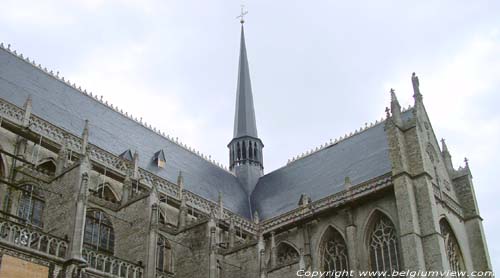Sint-Gummaruskerk LIER foto Zijgevel vanuit zuidwesten