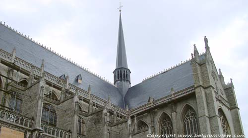 Sint-Gummaruskerk LIER / BELGI Zijgevel vanuit zuidwesten