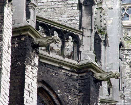 Sint-Gummaruskerk LIER / BELGI 