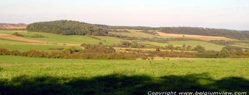 Landschap Halma noorden WELLIN / BELGI 