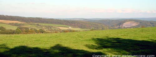 Landschap Halma noorden WELLIN / BELGIQUE 